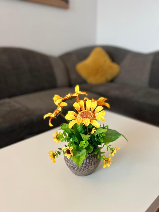 House51 Lejlighed Braşov Eksteriør billede