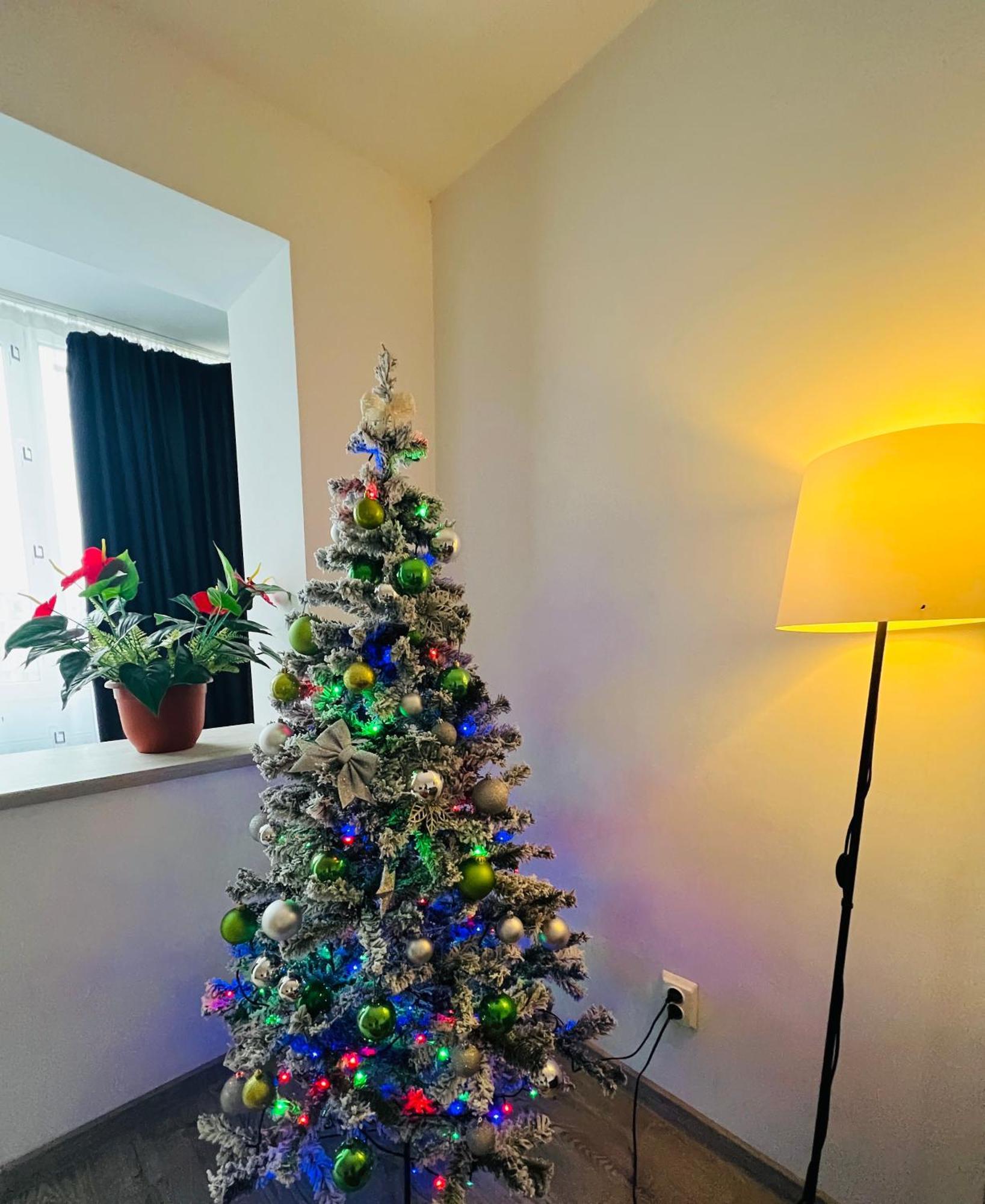 House51 Lejlighed Braşov Eksteriør billede
